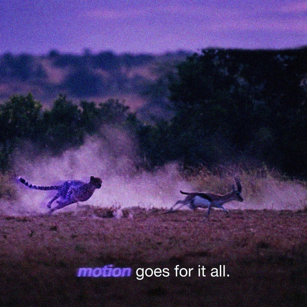 Motion gallery image